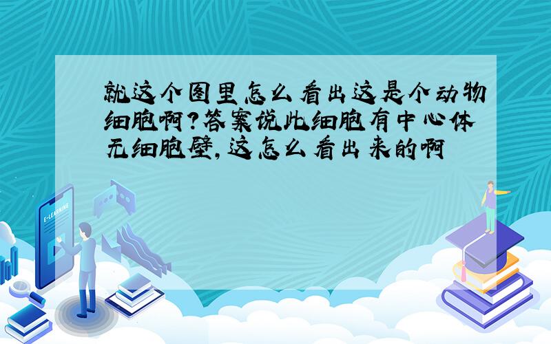 就这个图里怎么看出这是个动物细胞啊?答案说此细胞有中心体无细胞壁,这怎么看出来的啊