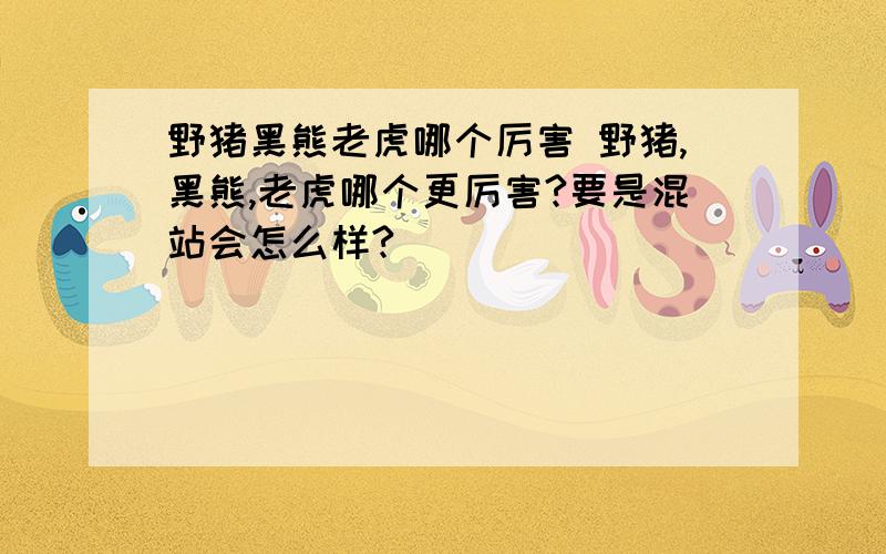 野猪黑熊老虎哪个厉害 野猪,黑熊,老虎哪个更厉害?要是混站会怎么样?