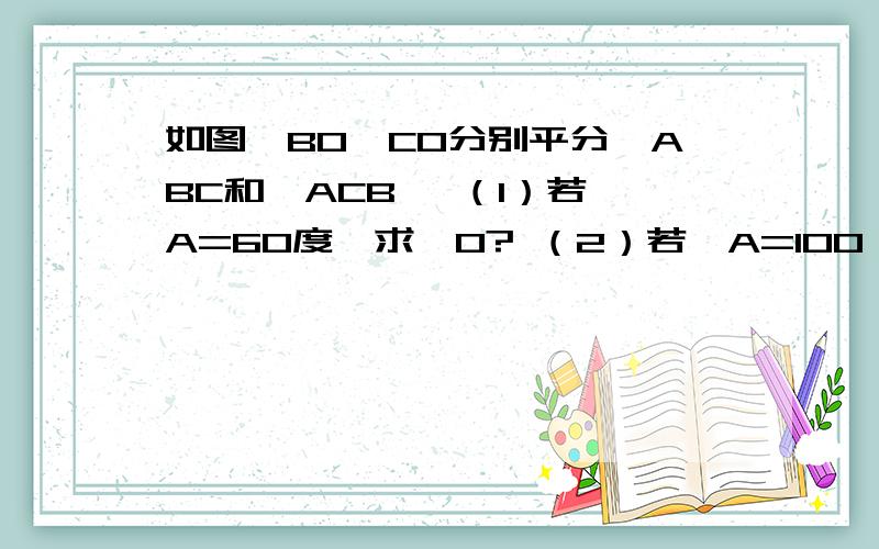 如图,BO、CO分别平分∠ABC和∠ACB, （1）若∠A=60度,求∠O? （2）若∠A=100°,120°,∠O又是