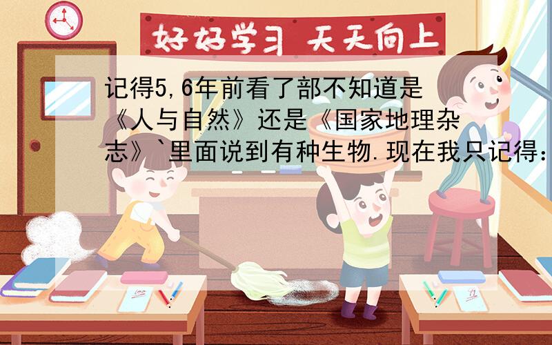 记得5,6年前看了部不知道是《人与自然》还是《国家地理杂志》`里面说到有种生物.现在我只记得：外型是我们常说的龙的缩小版