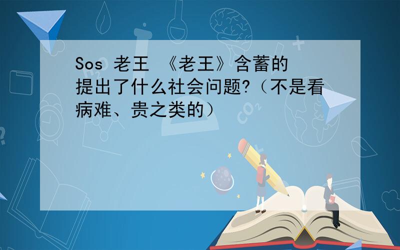 Sos 老王 《老王》含蓄的提出了什么社会问题?（不是看病难、贵之类的）