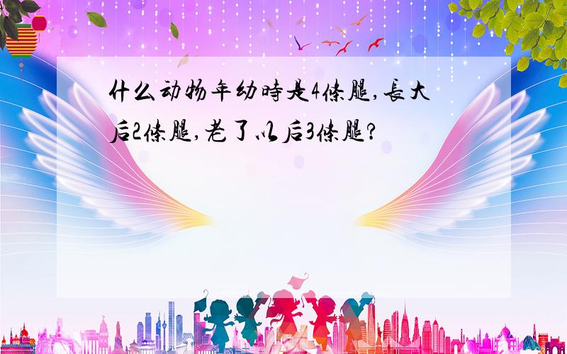 什么动物年幼时是4条腿,长大后2条腿,老了以后3条腿?