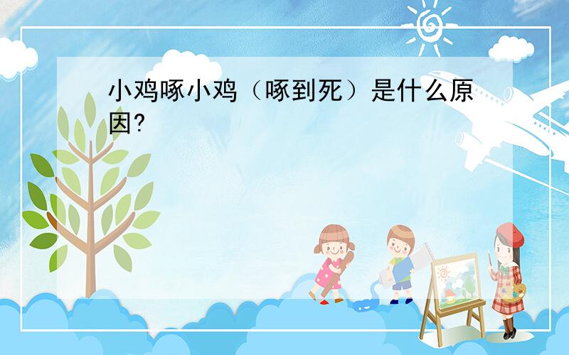 小鸡啄小鸡（啄到死）是什么原因?