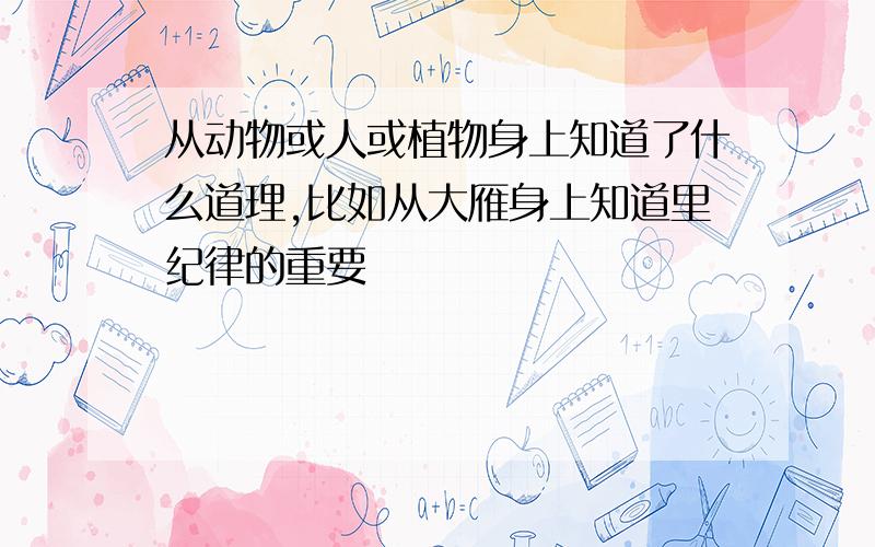 从动物或人或植物身上知道了什么道理,比如从大雁身上知道里纪律的重要