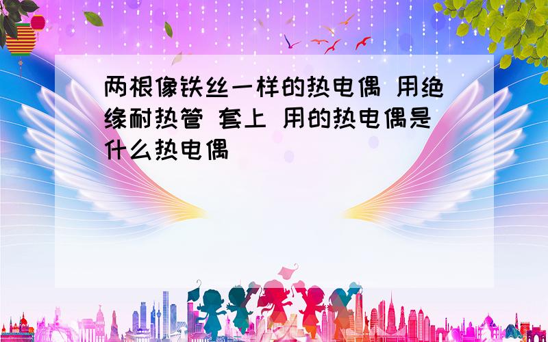 两根像铁丝一样的热电偶 用绝缘耐热管 套上 用的热电偶是什么热电偶