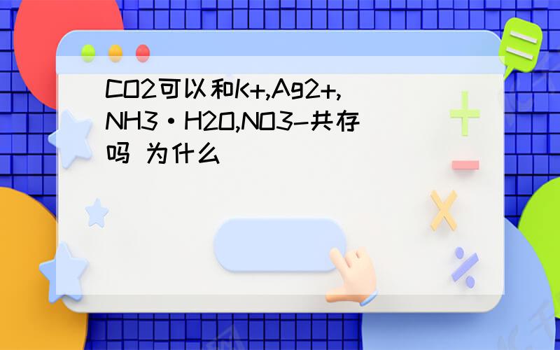 CO2可以和K+,Ag2+,NH3·H2O,NO3-共存吗 为什么