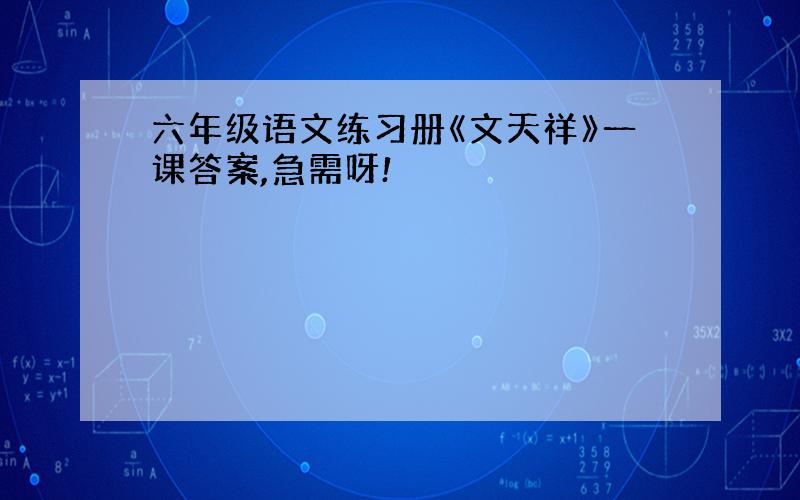 六年级语文练习册《文天祥》一课答案,急需呀!