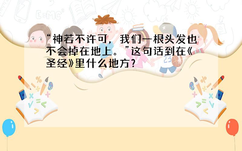 “神若不许可，我们一根头发也不会掉在地上。”这句话到在《圣经》里什么地方？