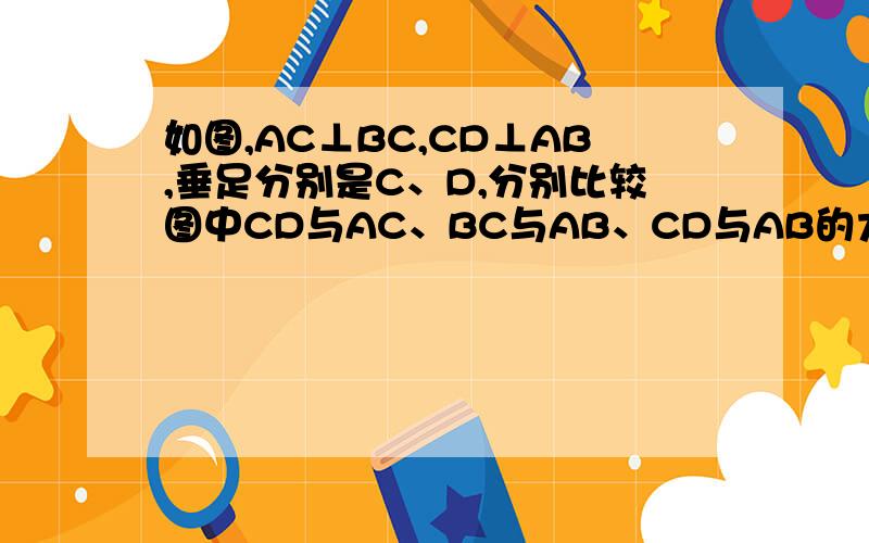 如图,AC⊥BC,CD⊥AB,垂足分别是C、D,分别比较图中CD与AC、BC与AB、CD与AB的大小,并说明理由