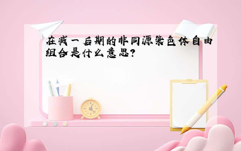 在减一后期的非同源染色体自由组合是什么意思?