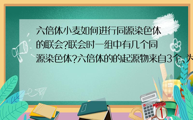 六倍体小麦如何进行同源染色体的联会?联会时一组中有几个同源染色体?六倍体的的起源物来自3个,为什么是