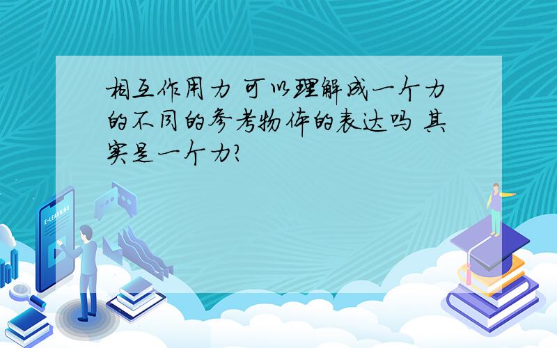 相互作用力 可以理解成一个力的不同的参考物体的表达吗 其实是一个力?