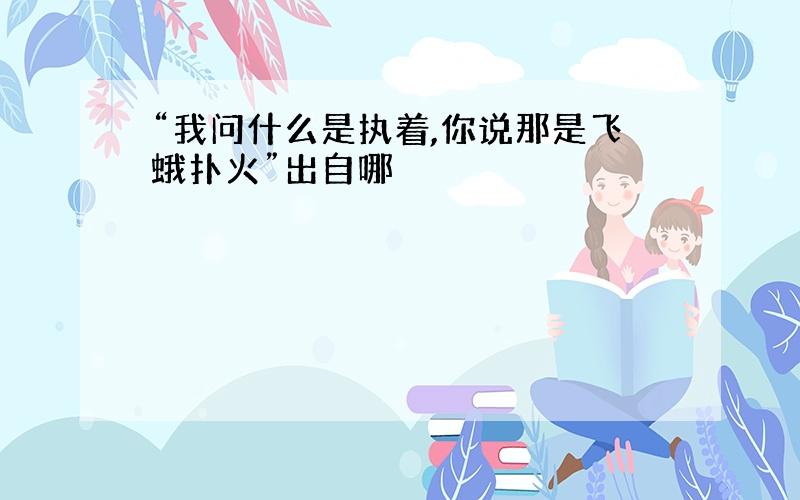 “我问什么是执着,你说那是飞蛾扑火”出自哪