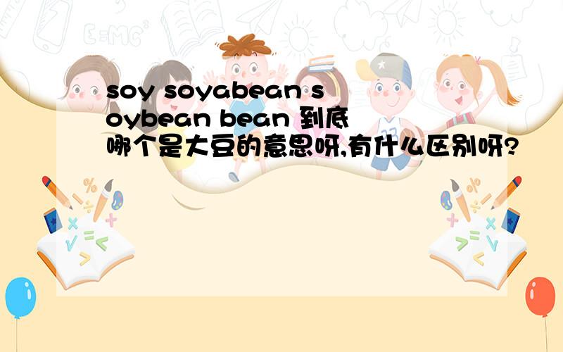 soy soyabean soybean bean 到底哪个是大豆的意思呀,有什么区别呀?