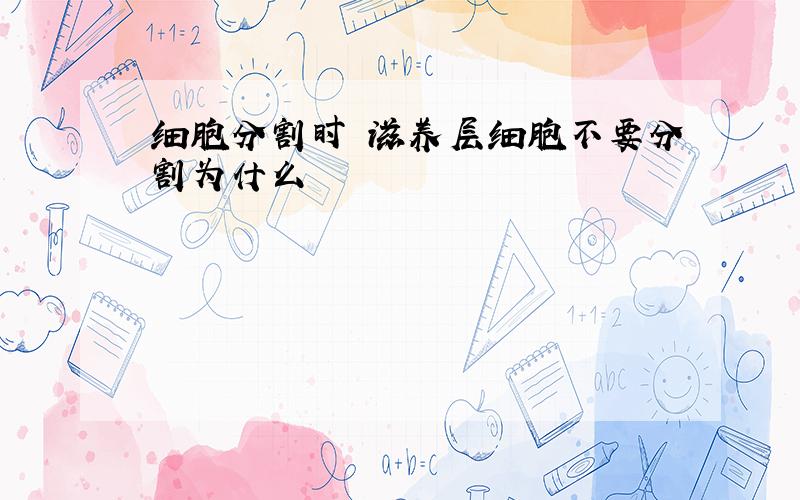 细胞分割时 滋养层细胞不要分割为什么