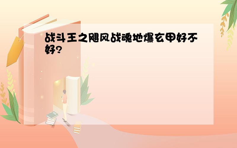 战斗王之飓风战魂地爆玄甲好不好?