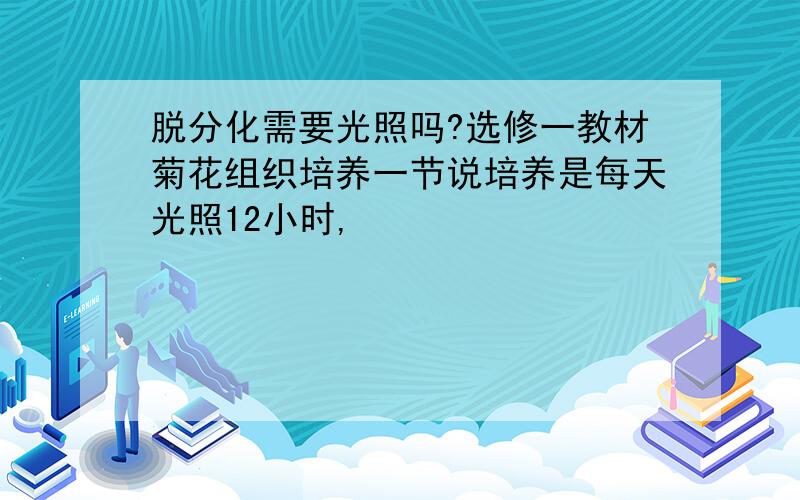 脱分化需要光照吗?选修一教材菊花组织培养一节说培养是每天光照12小时,