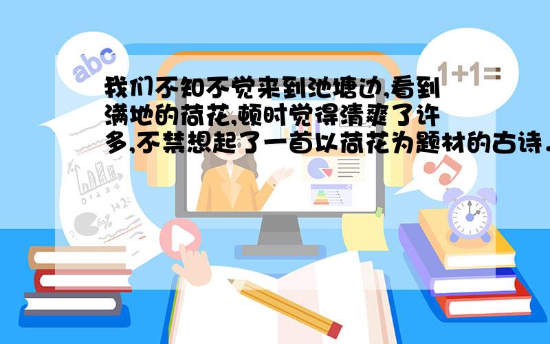 我们不知不觉来到池塘边,看到满地的荷花,顿时觉得清爽了许多,不禁想起了一首以荷花为题材的古诗．