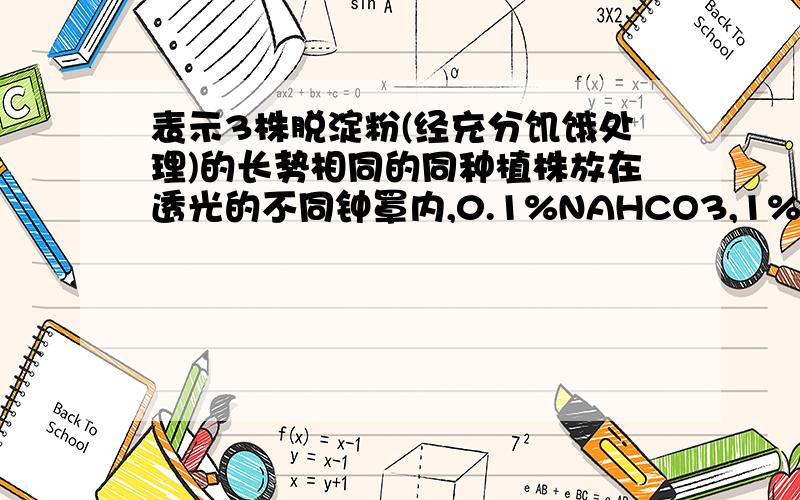 表示3株脱淀粉(经充分饥饿处理)的长势相同的同种植株放在透光的不同钟罩内,0.1%NAHCO3,1%NAHCO3,1%N