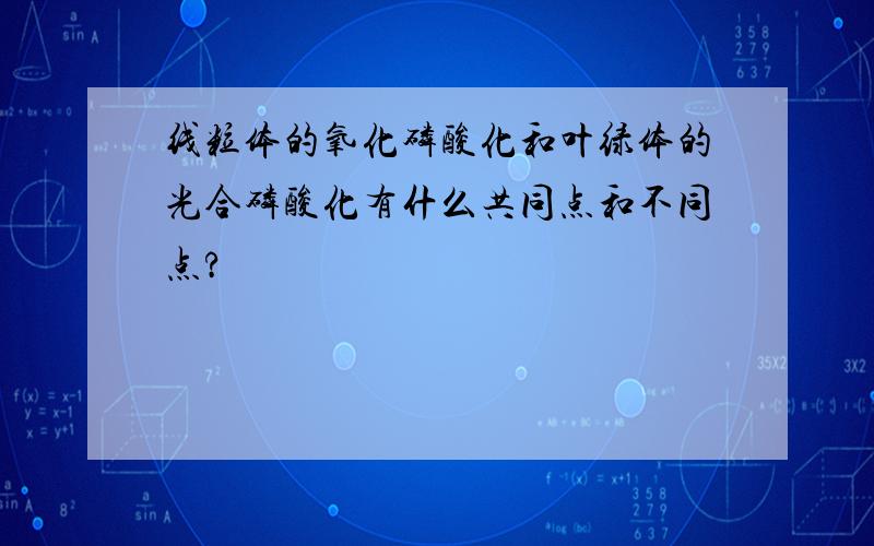 线粒体的氧化磷酸化和叶绿体的光合磷酸化有什么共同点和不同点?