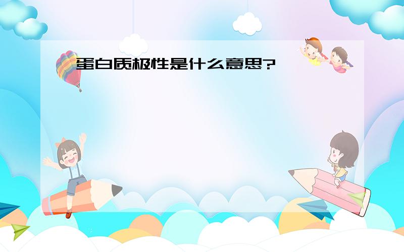 蛋白质极性是什么意思?