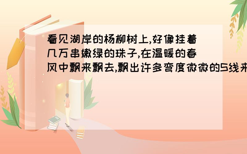 看见湖岸的杨柳树上,好像挂着几万串嫩绿的珠子,在温暖的春风中飘来飘去,飘出许多弯度微微的S线来.