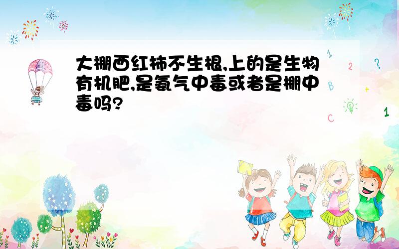 大棚西红柿不生根,上的是生物有机肥,是氨气中毒或者是棚中毒吗?