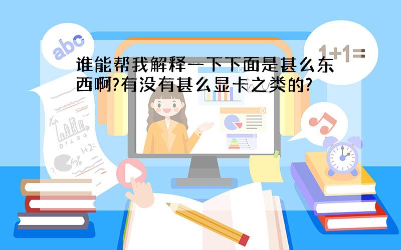 谁能帮我解释一下下面是甚么东西啊?有没有甚么显卡之类的?