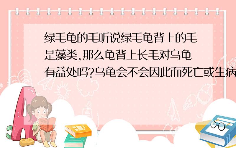 绿毛龟的毛听说绿毛龟背上的毛是藻类,那么龟背上长毛对乌龟有益处吗?乌龟会不会因此而死亡或生病?