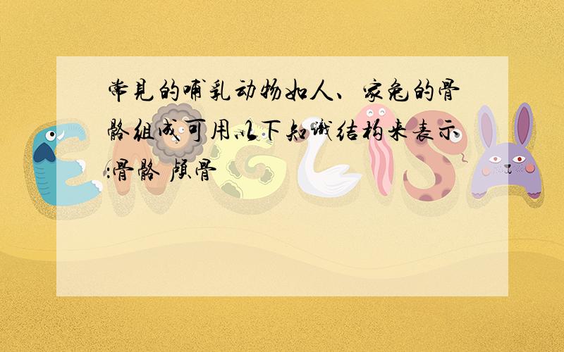 常见的哺乳动物如人、家兔的骨骼组成可用以下知识结构来表示：骨骼 颅骨