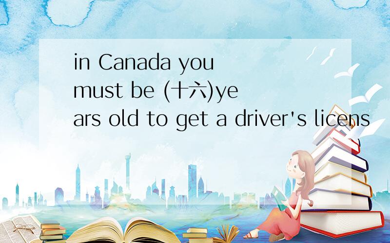 in Canada you must be (十六)years old to get a driver's licens