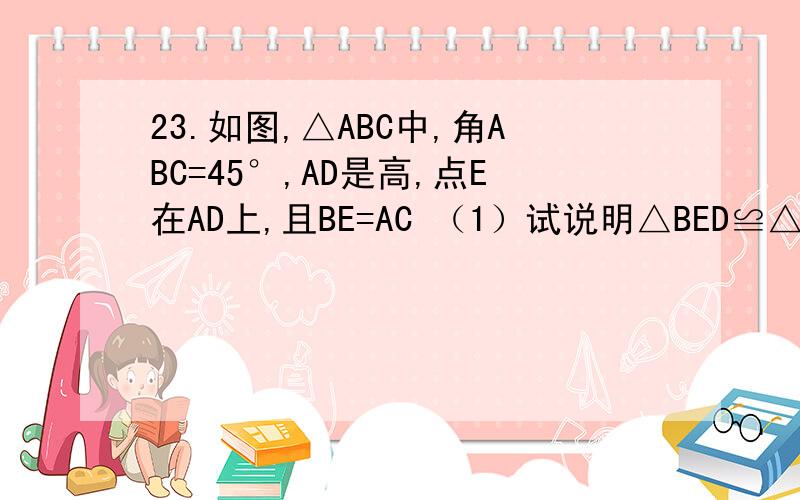 23.如图,△ABC中,角ABC=45°,AD是高,点E在AD上,且BE=AC （1）试说明△BED≌△ACD的理由 （