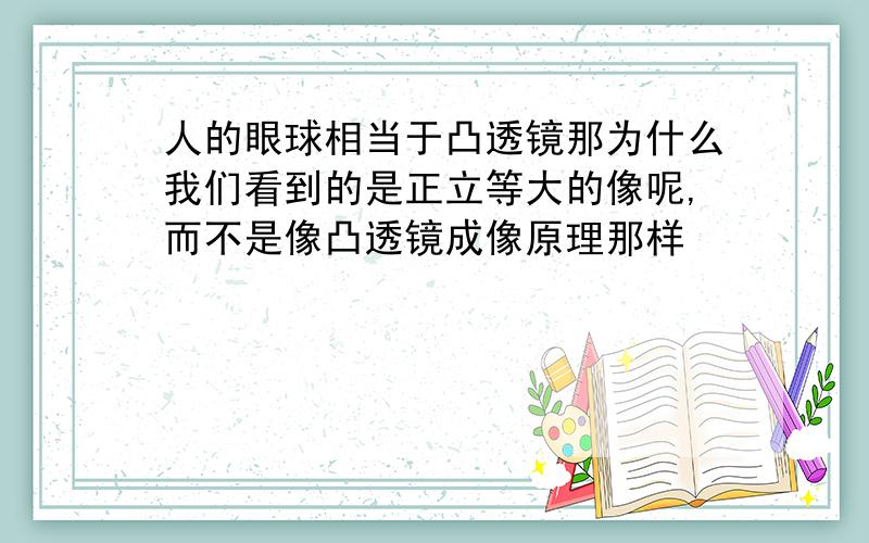 人的眼球相当于凸透镜那为什么我们看到的是正立等大的像呢,而不是像凸透镜成像原理那样