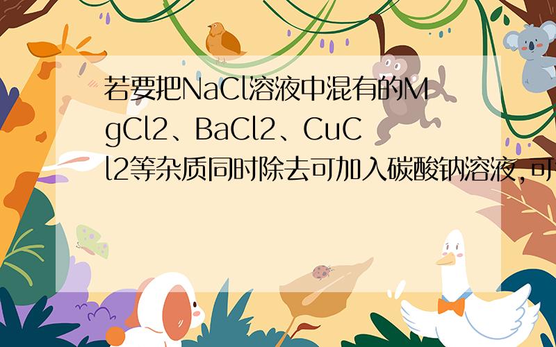 若要把NaCl溶液中混有的MgCl2、BaCl2、CuCl2等杂质同时除去可加入碳酸钠溶液,可行吗?