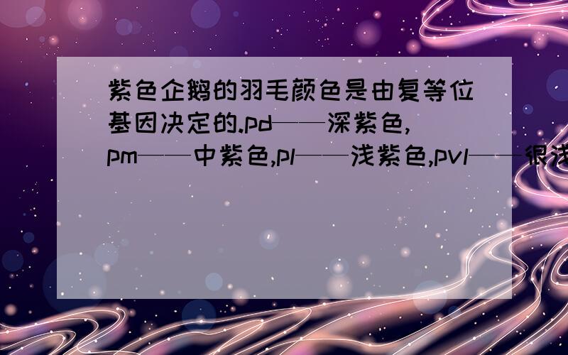 紫色企鹅的羽毛颜色是由复等位基因决定的.pd——深紫色,pm——中紫色,pl——浅紫色,pvl——很浅紫色(接近白色).