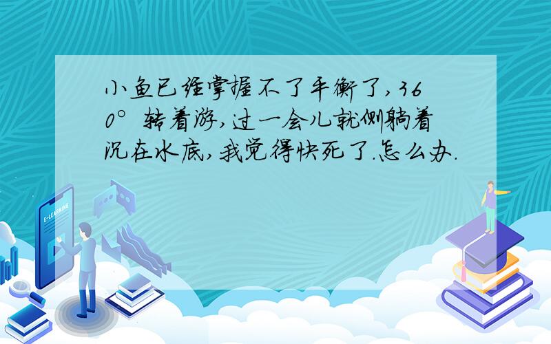 小鱼已经掌握不了平衡了,360°转着游,过一会儿就侧躺着沉在水底,我觉得快死了.怎么办.