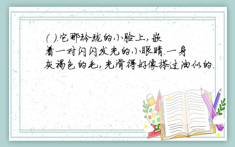 （ ）.它那玲珑的小脸上,嵌着一对闪闪发光的小眼睛.一身灰褐色的毛,光滑得好像搽过油似的.