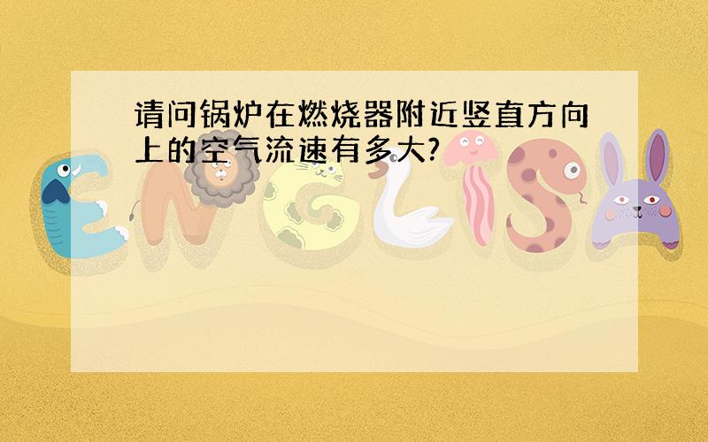 请问锅炉在燃烧器附近竖直方向上的空气流速有多大?