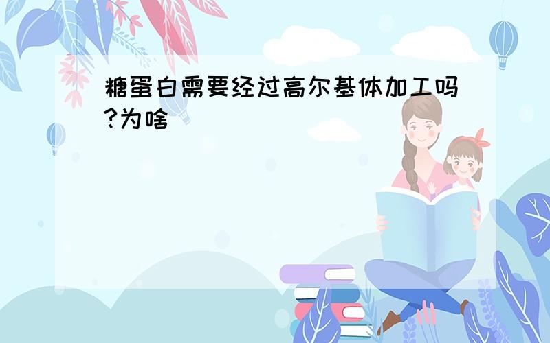 糖蛋白需要经过高尔基体加工吗?为啥