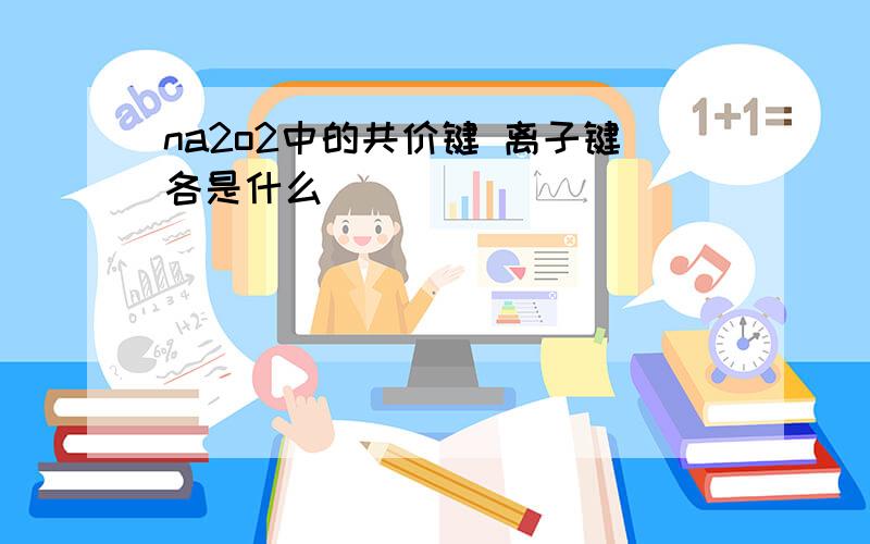 na2o2中的共价键 离子键各是什么