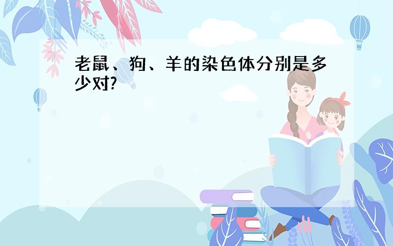 老鼠、狗、羊的染色体分别是多少对?