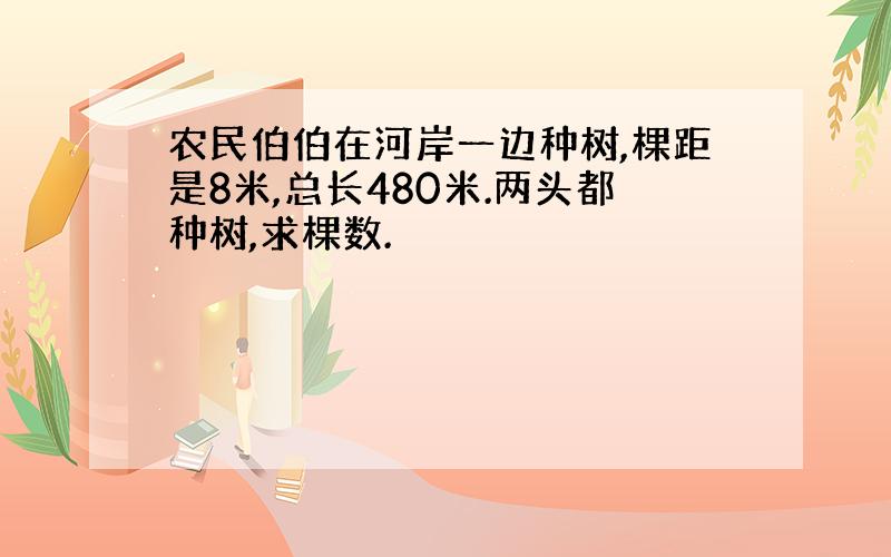 农民伯伯在河岸一边种树,棵距是8米,总长480米.两头都种树,求棵数.