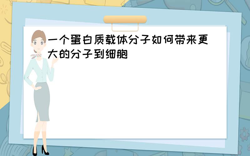 一个蛋白质载体分子如何带来更大的分子到细胞