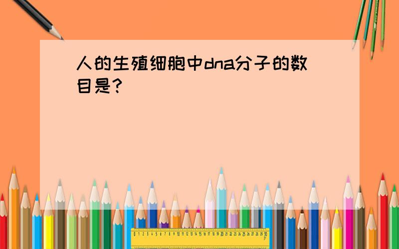 人的生殖细胞中dna分子的数目是?