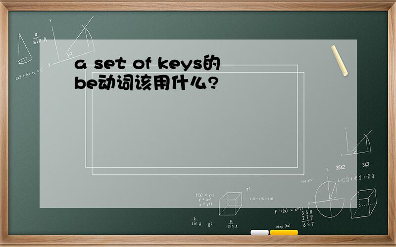 a set of keys的be动词该用什么?