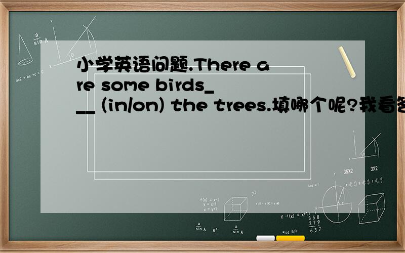 小学英语问题.There are some birds___ (in/on) the trees.填哪个呢?我看答案是填