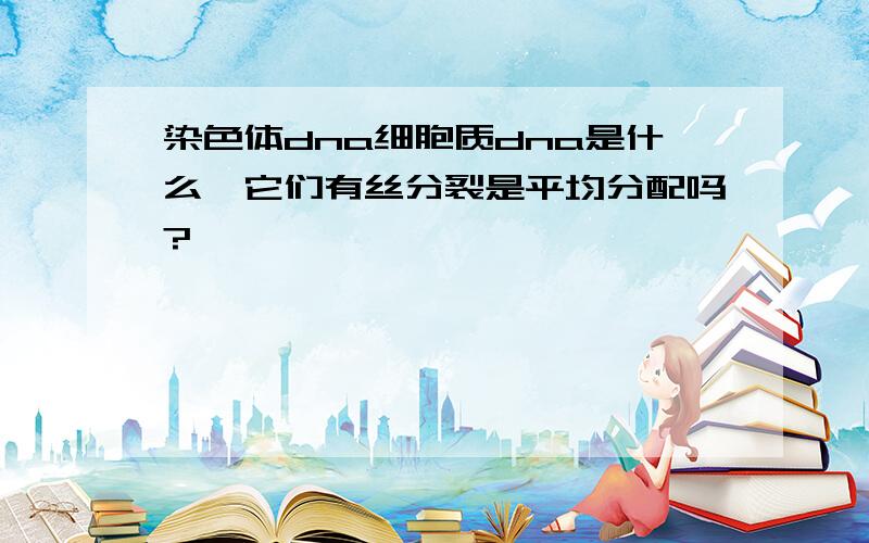 染色体dna细胞质dna是什么,它们有丝分裂是平均分配吗?