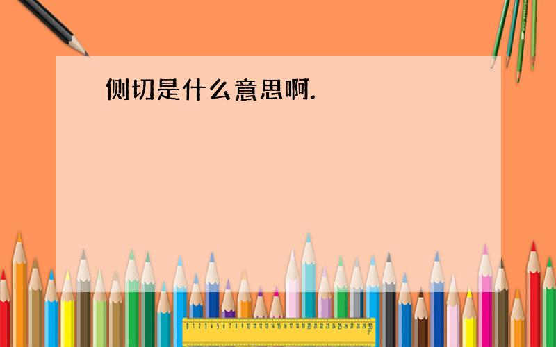 侧切是什么意思啊.