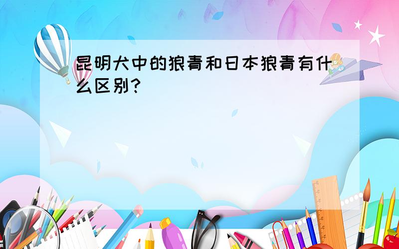 昆明犬中的狼青和日本狼青有什么区别?