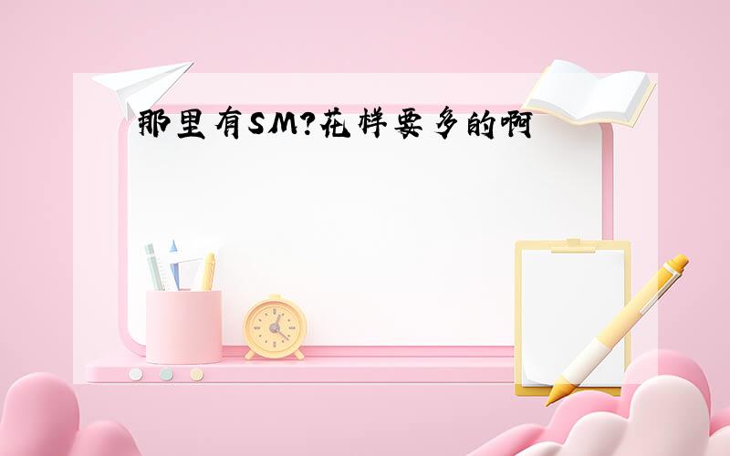 那里有SM?花样要多的啊